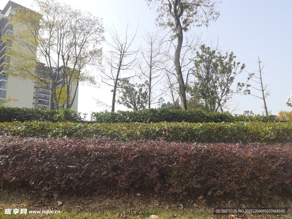 户外绿植旁的建筑景观