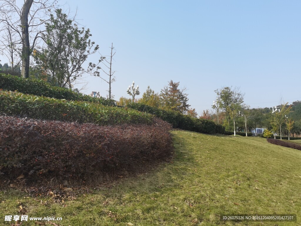 户外绿意盎然的草坪景观