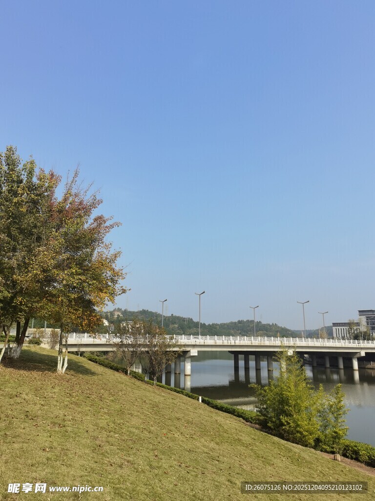 河畔草地与远处桥梁风景