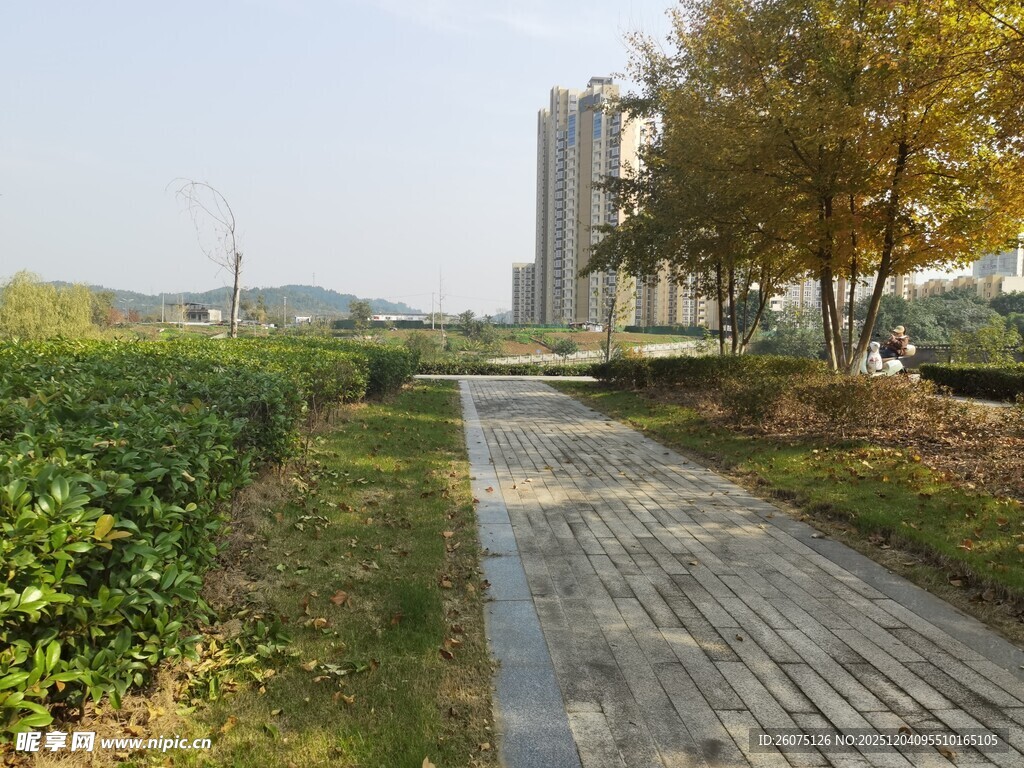 城市中的宁静石板小径