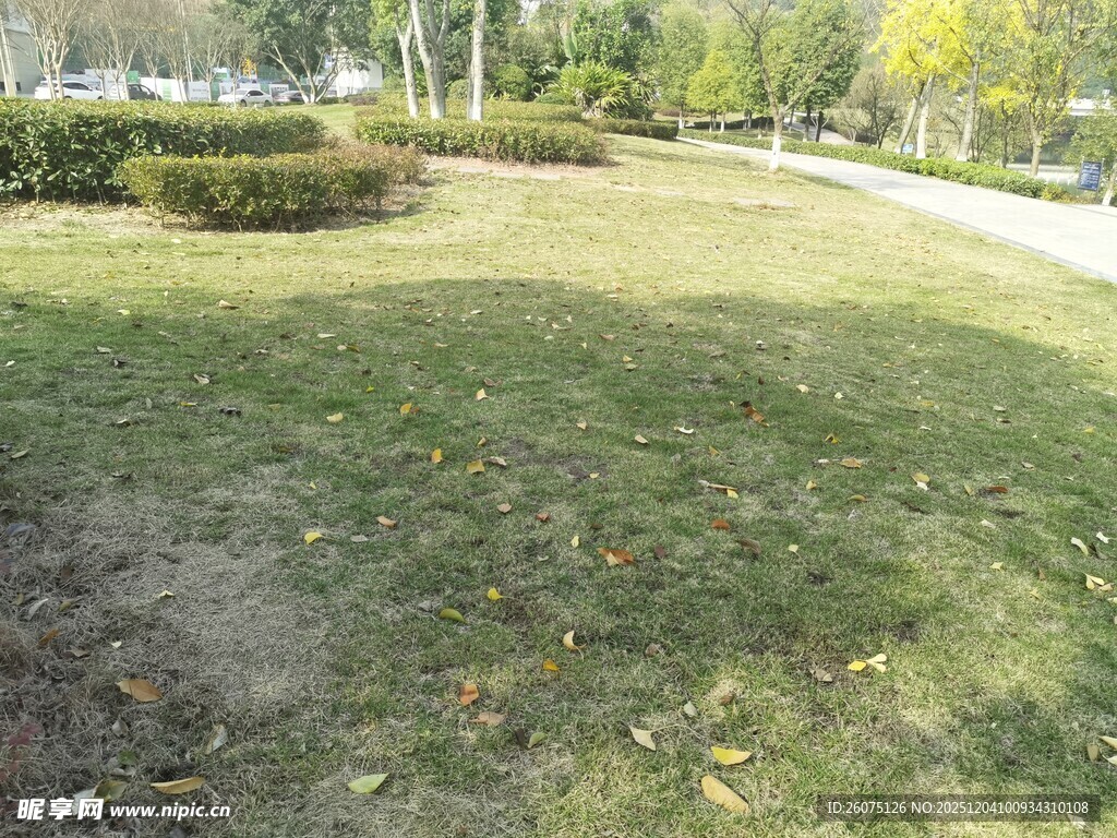 户外绿意盎然的开阔草地