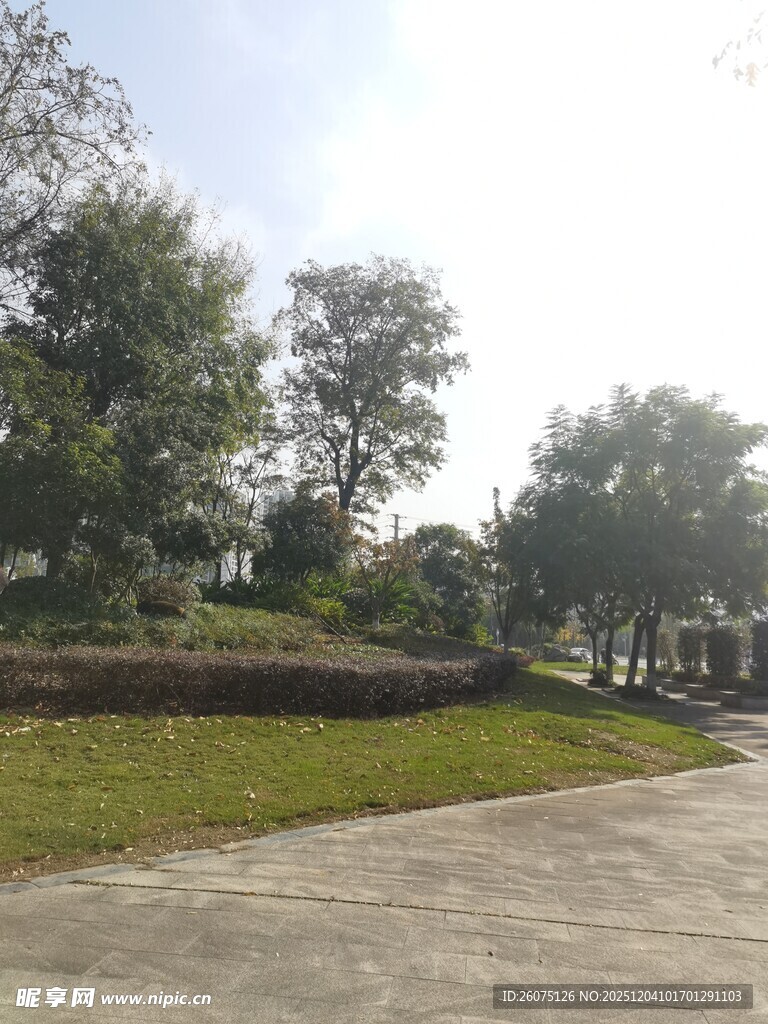 户外绿意盎然的休闲场地