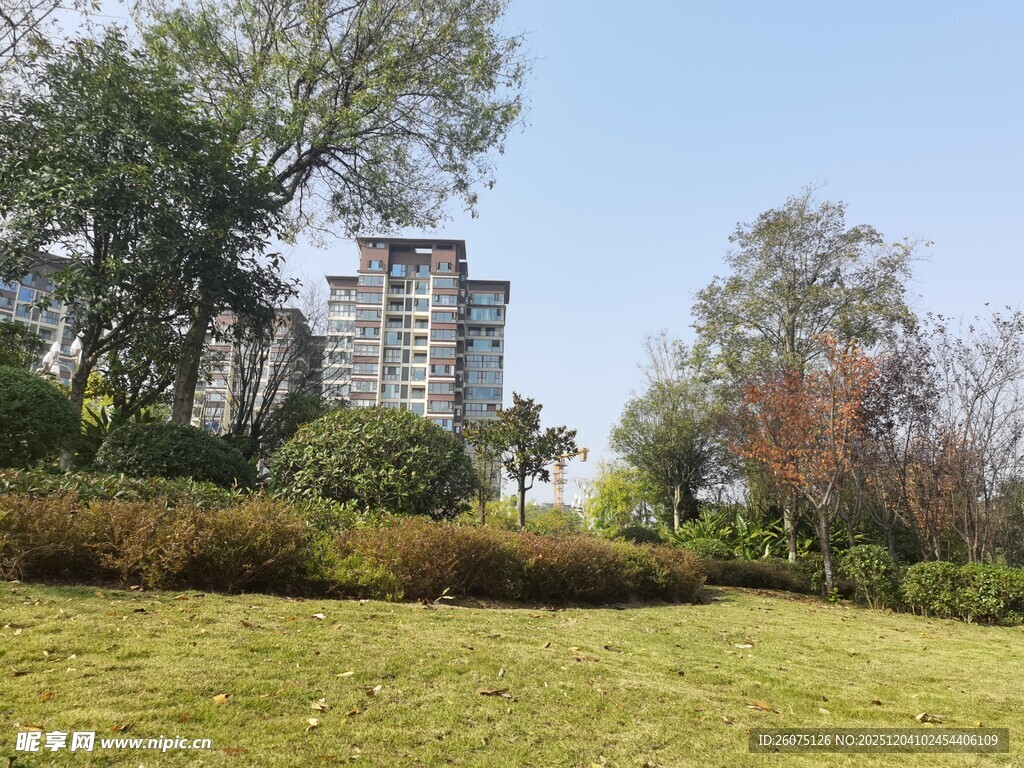 城市绿地旁的高楼景观