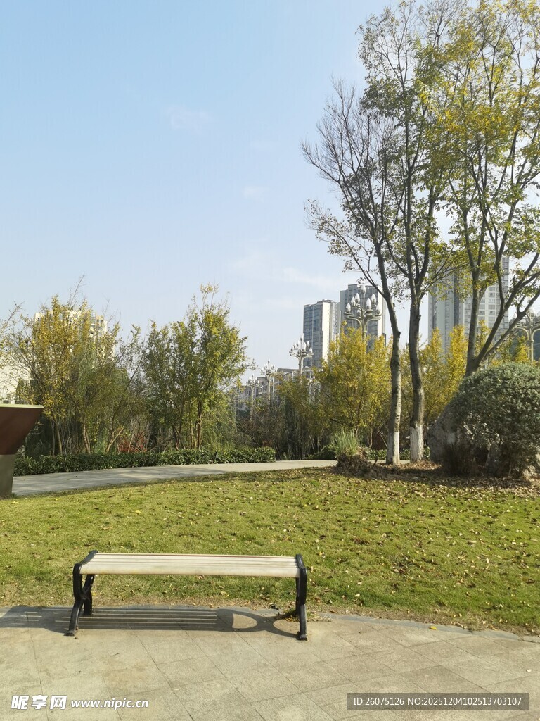 公园中的长椅与自然风光