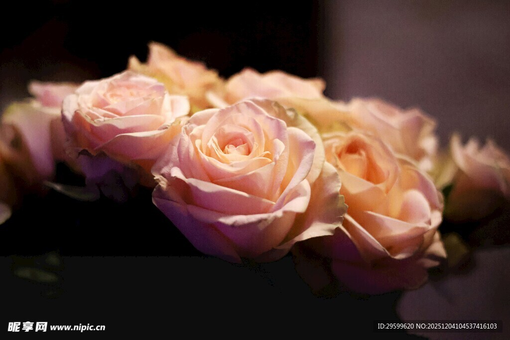 粉色柔美玫瑰花束