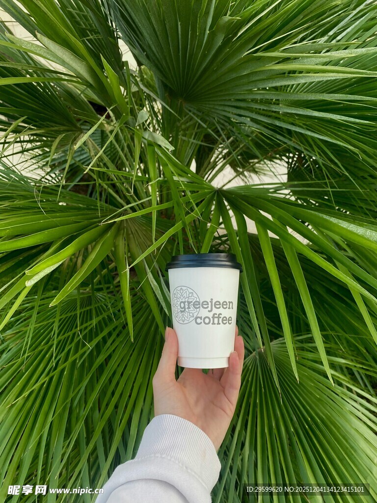 手捧饮品于葱郁棕榈叶下