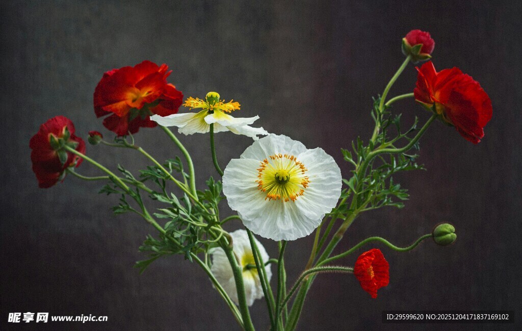 多彩花卉静物图