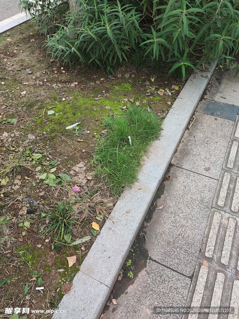 路边绿植与砖石步道景观