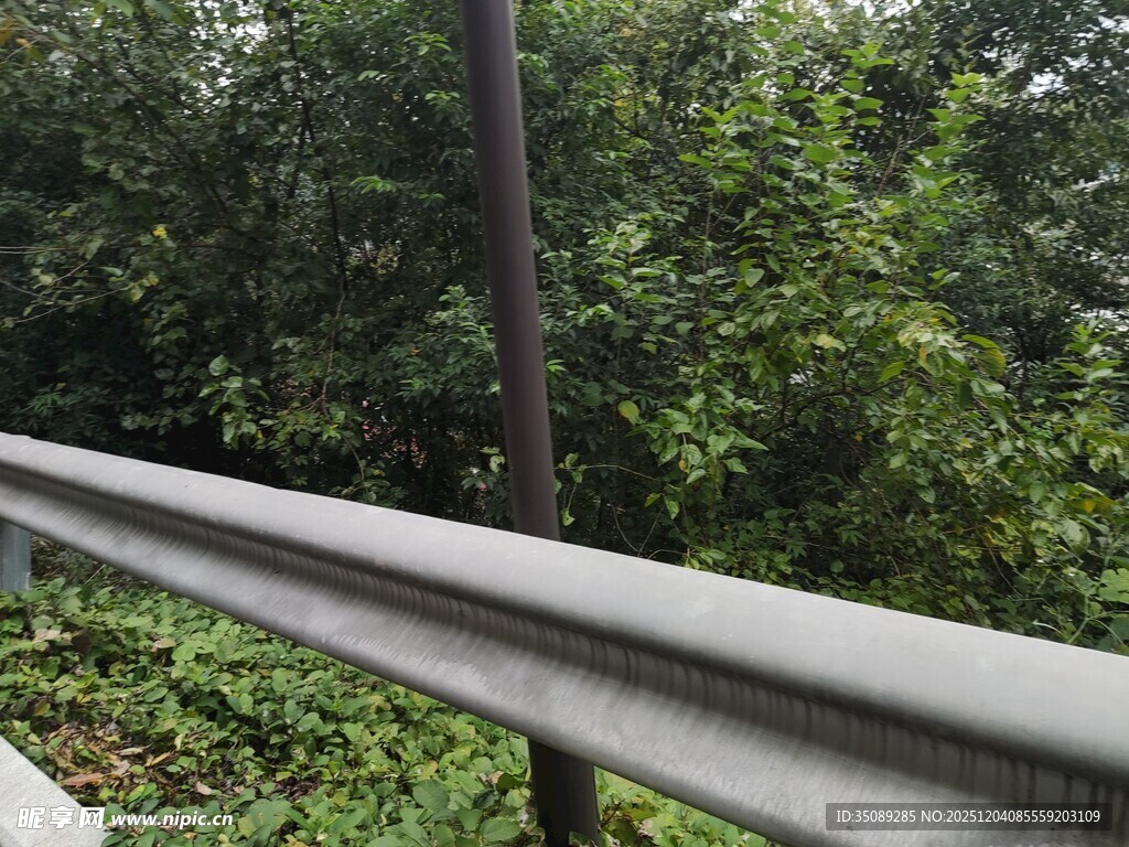 公路旁的金属护栏与绿植