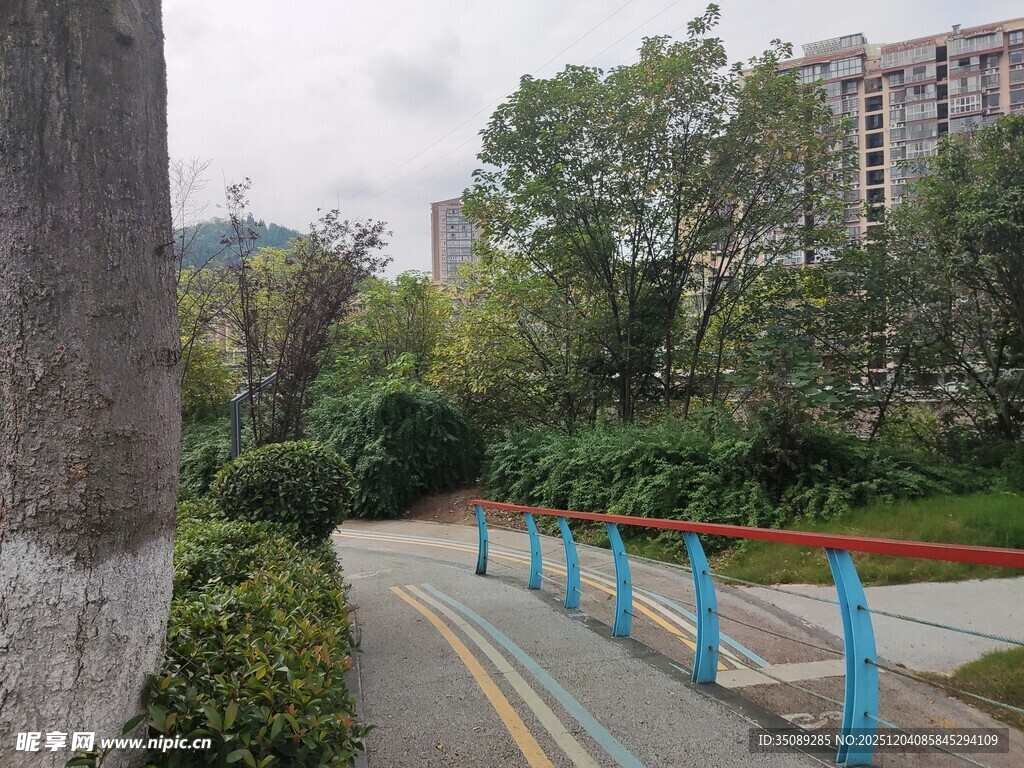 城市公园中的多彩步道