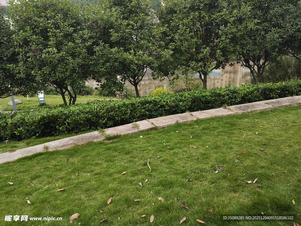 绿意盎然的公园小径