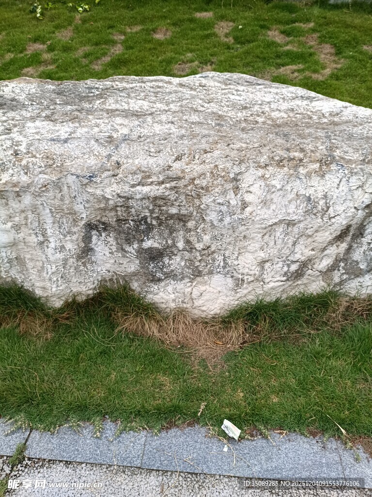 草地上的灰色大石头
