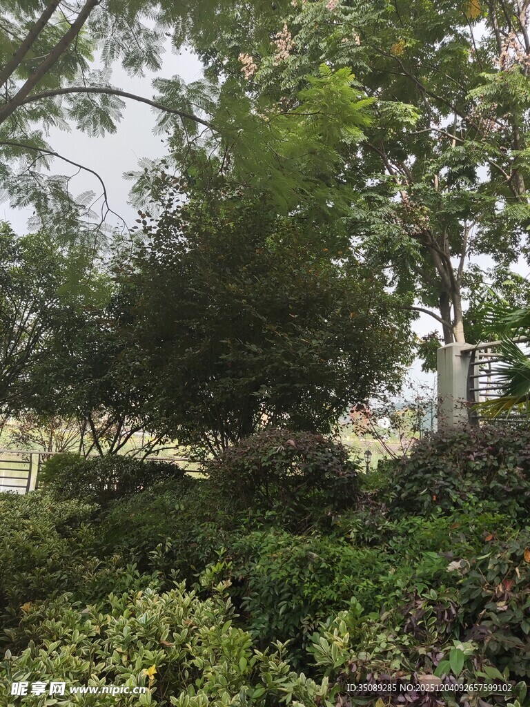 城市中的绿意盎然景观