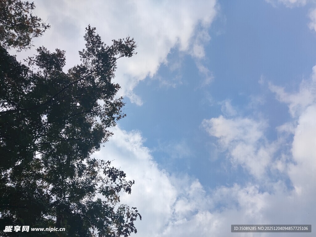 蓝天绿树间的美好景致