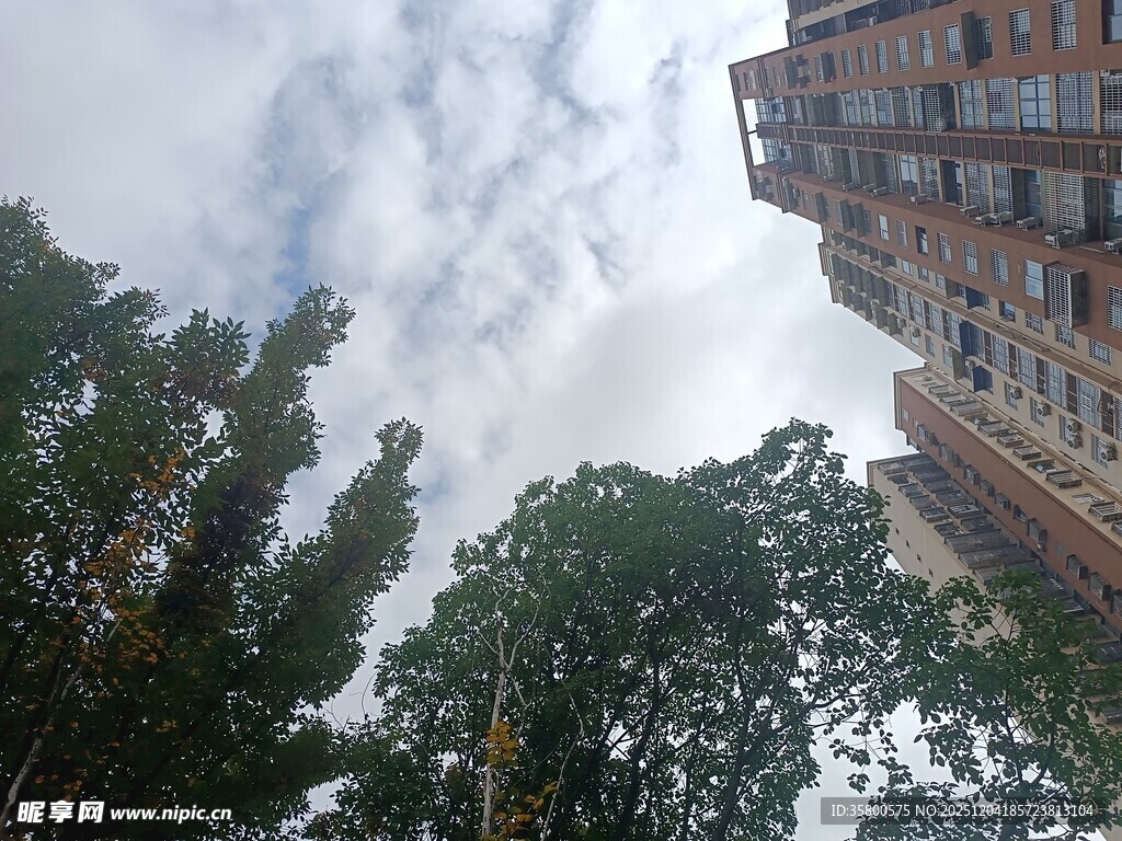 仰视城市建筑与绿树