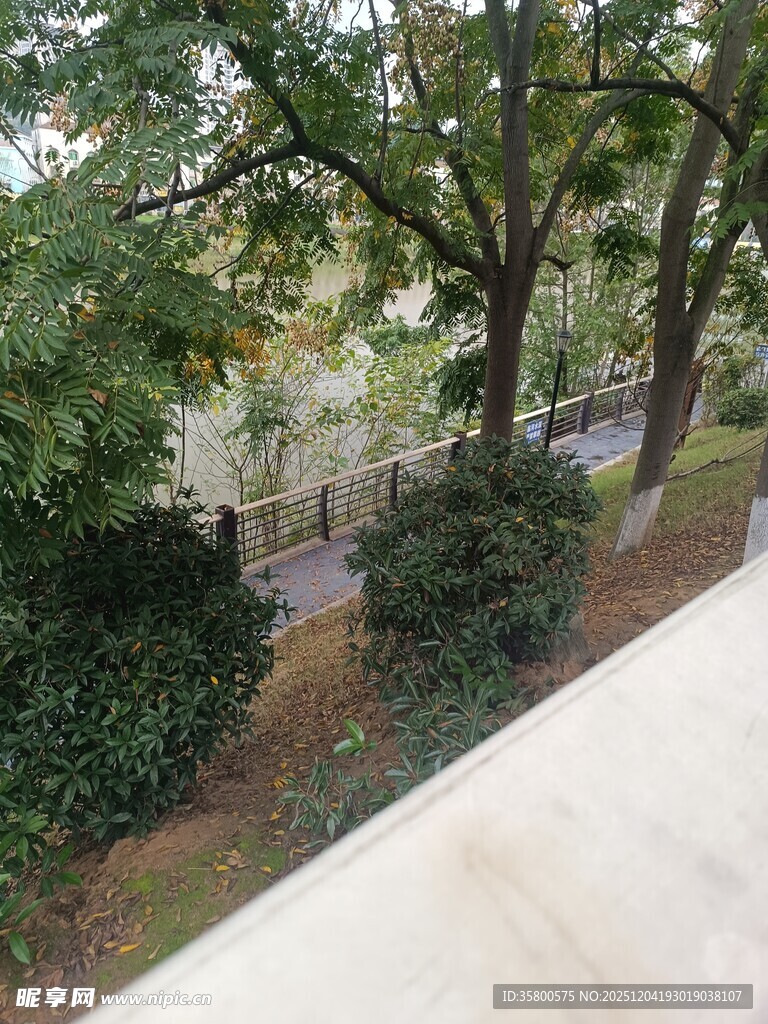 户外绿树环绕的景致