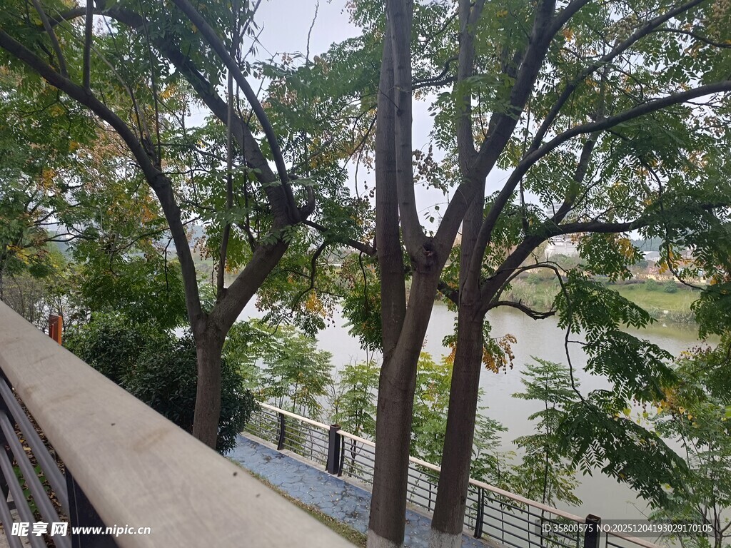 河畔绿树环绕的观景平台