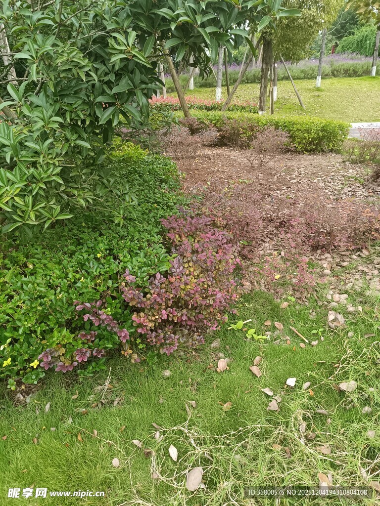 户外绿植景观一角