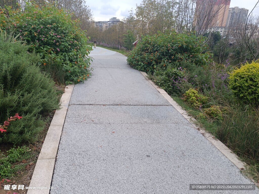 城市中幽静的绿植小径