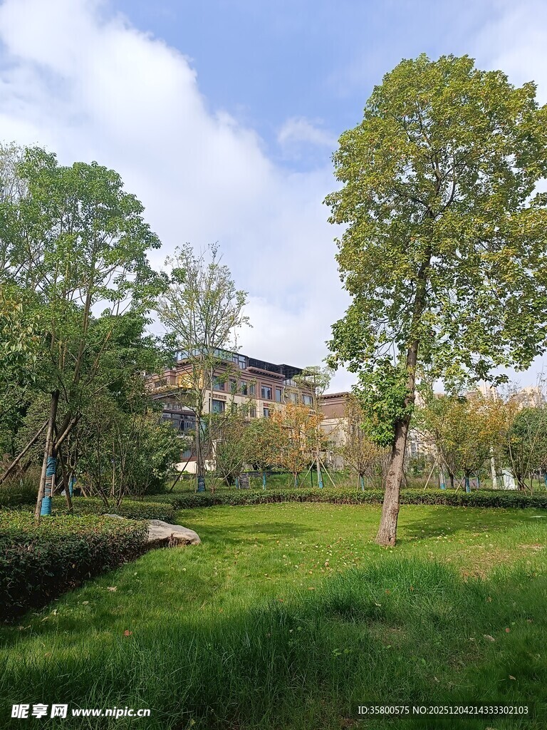 校园绿意盎然的草坪景观