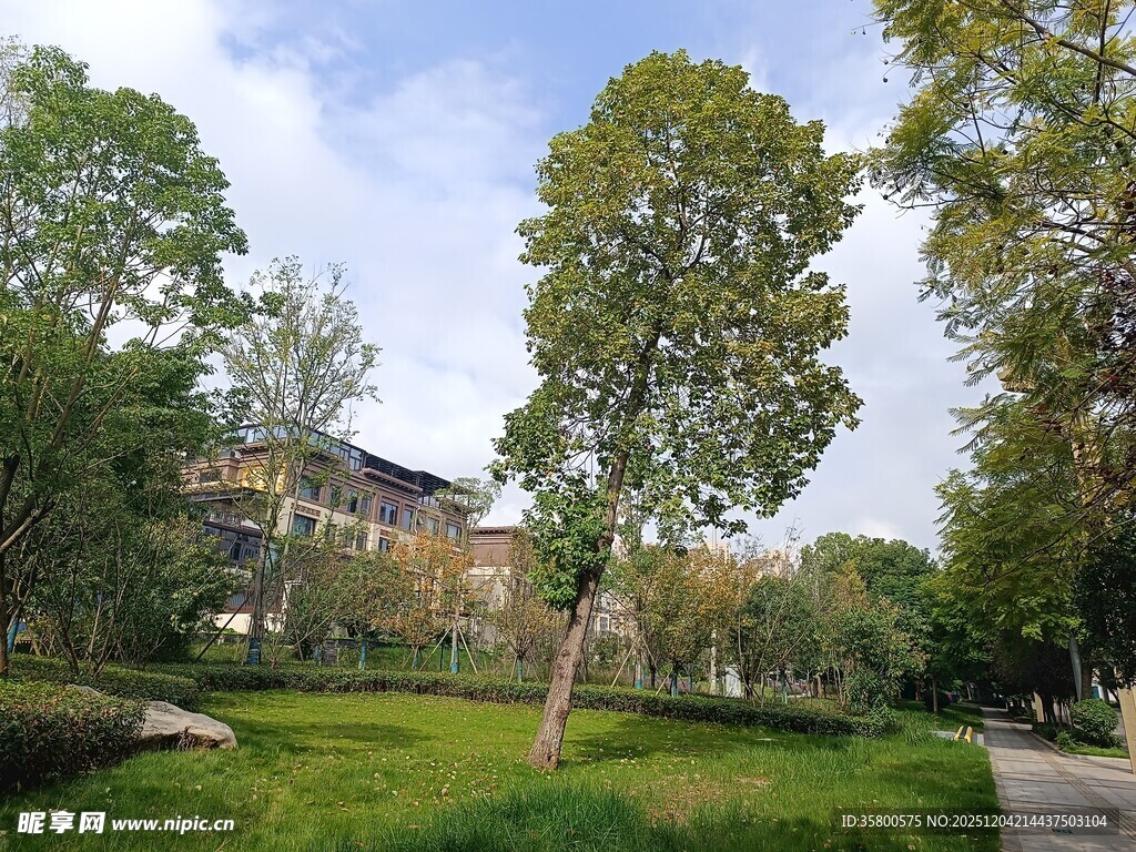 城市中的静谧绿意公园