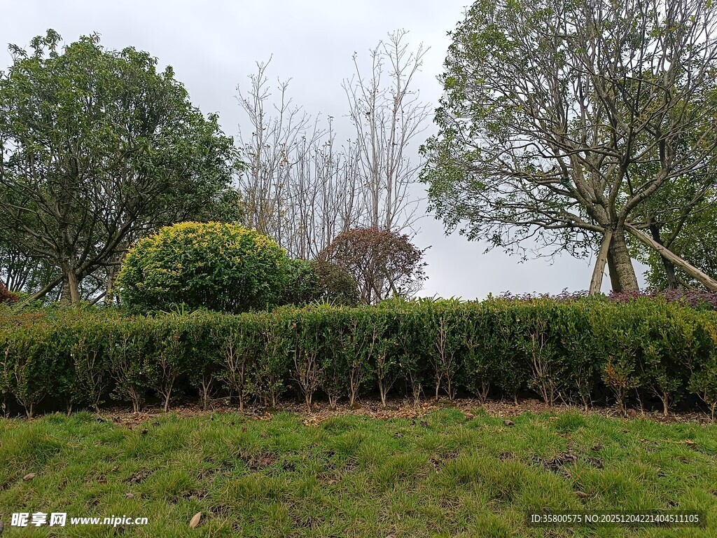 绿意盎然的园林景观