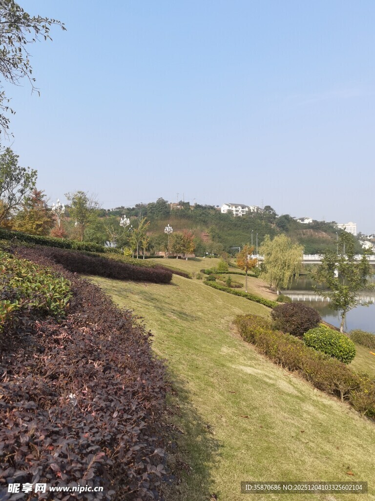 美丽园林景观一角