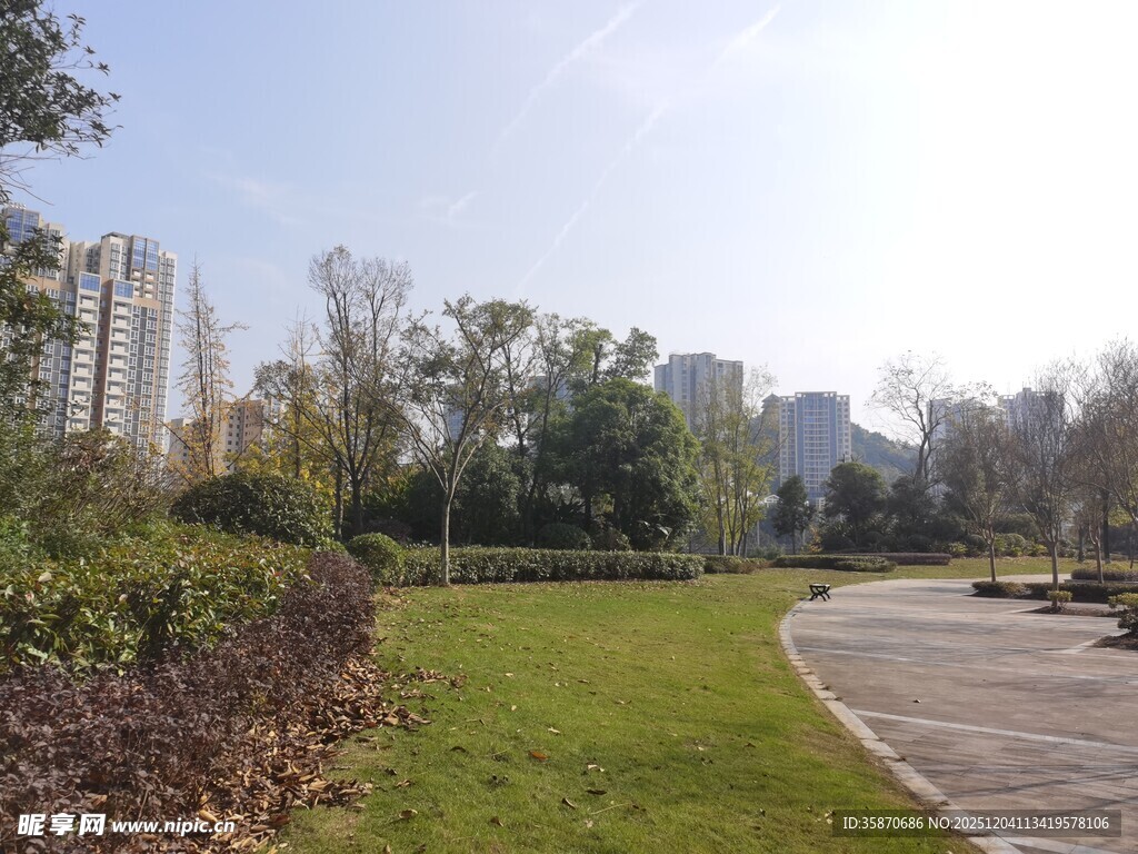 城市中的宁静绿地景观