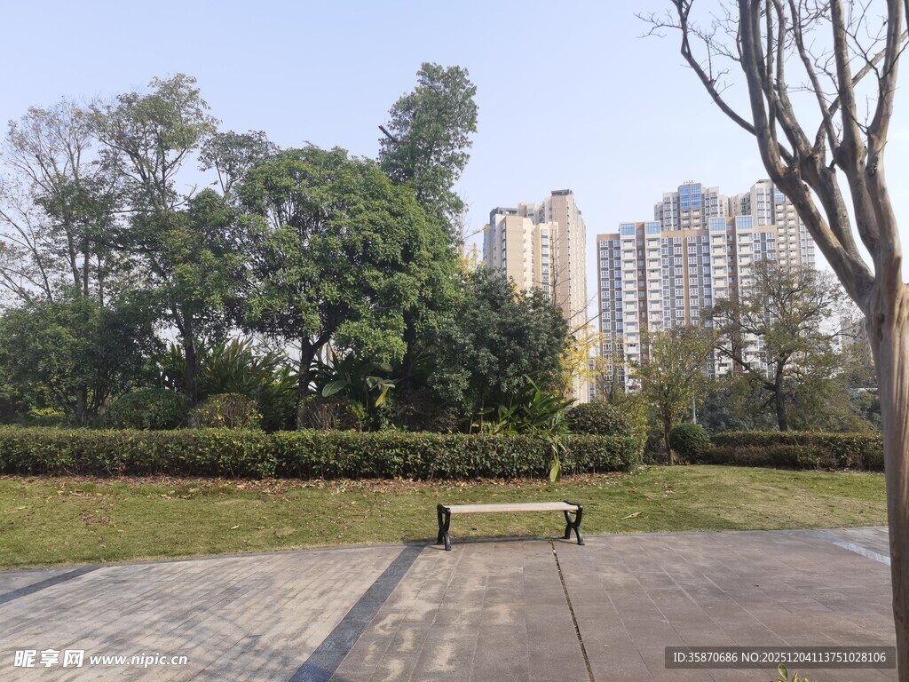 城市公园中的静谧休憩之地