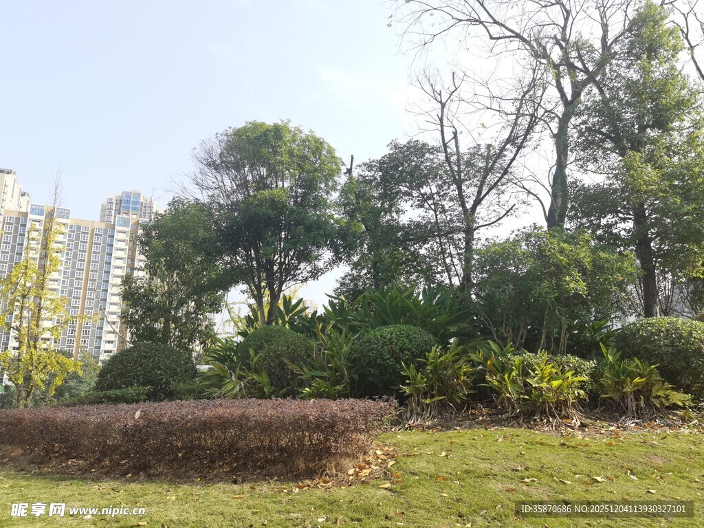 城市中的绿意景观