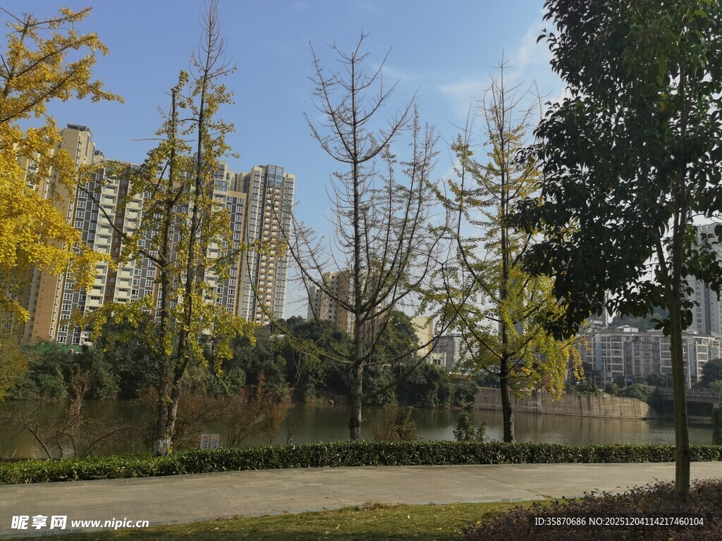 城市秋日公园风景