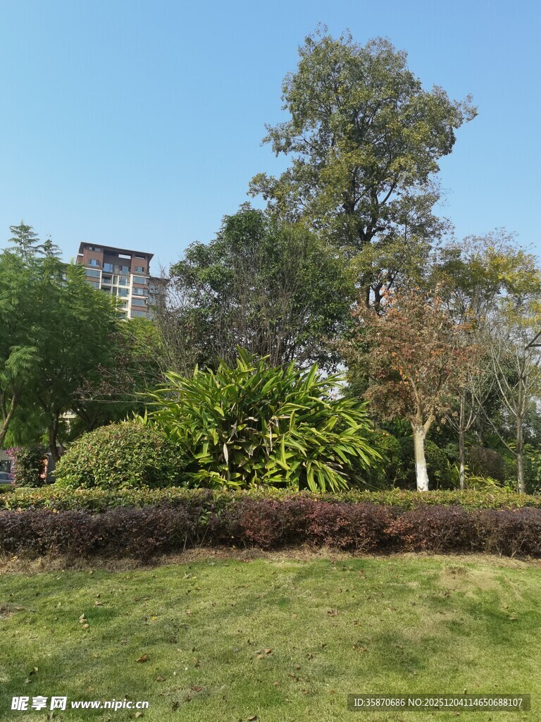 户外绿意盎然的自然景致