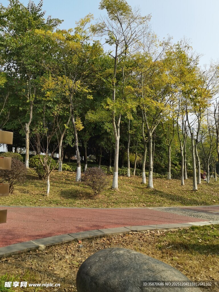 秋日林间休闲步道景色