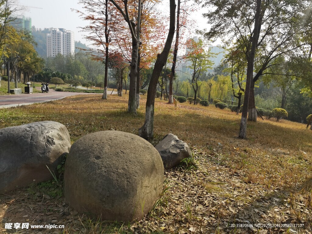 公园内的巨石与树木景观