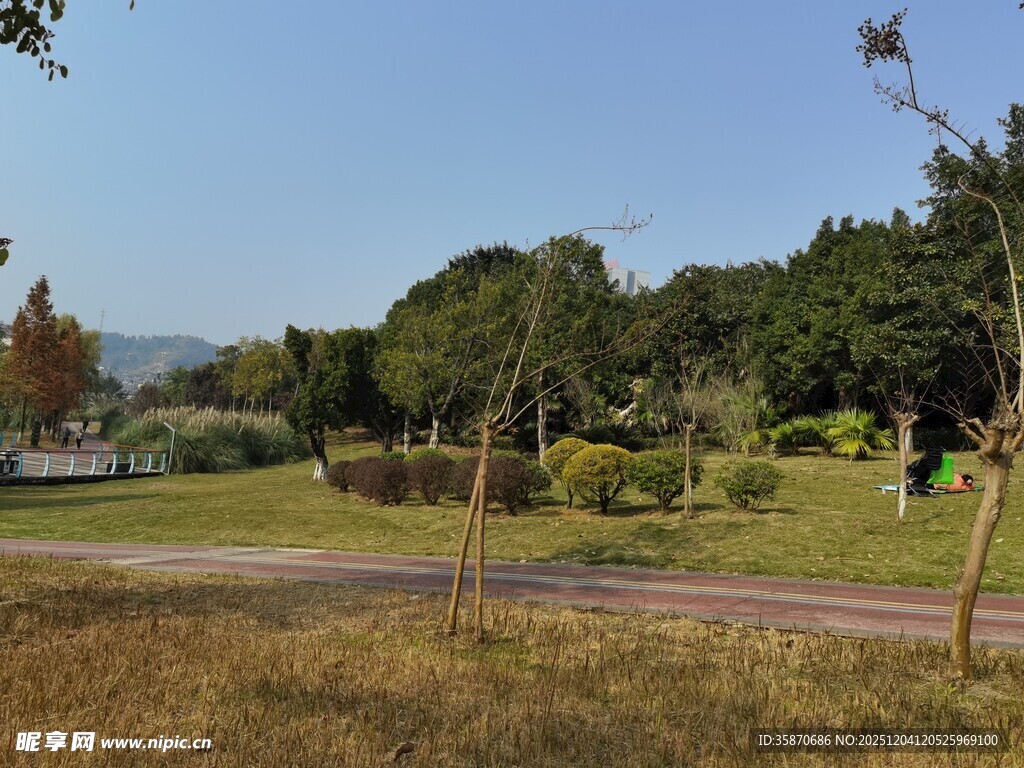 郊外绿意盎然的开阔风景