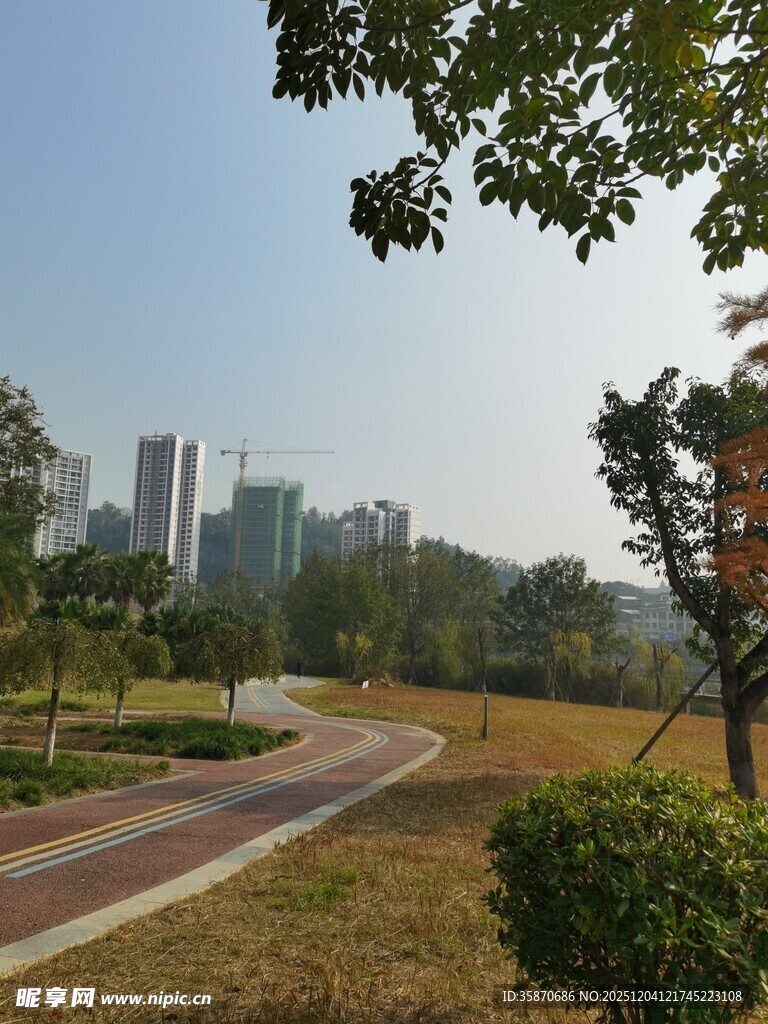 城市中的宁静公园小径