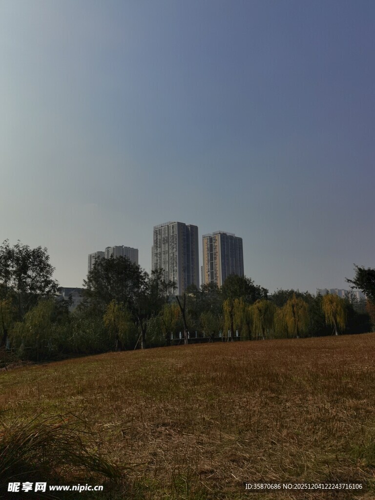 城郊草地与远处高楼景象