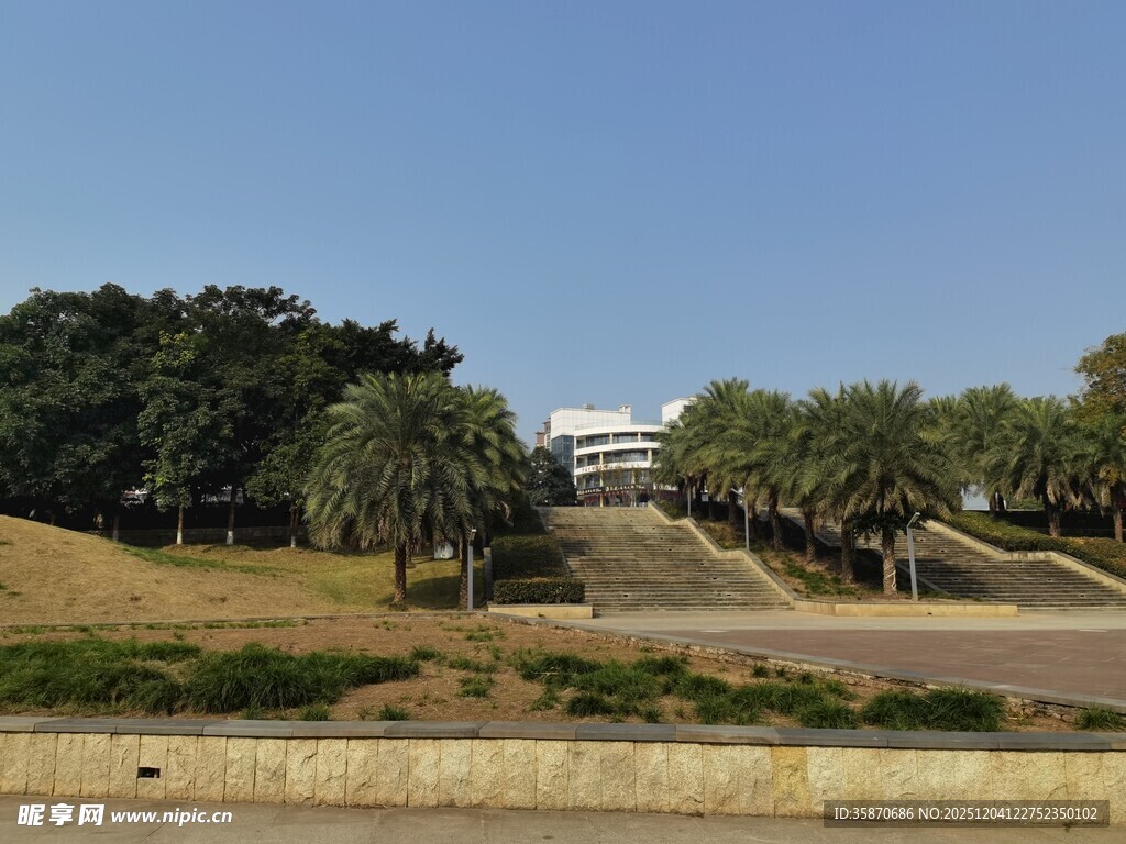 户外开阔风景中的树木建筑