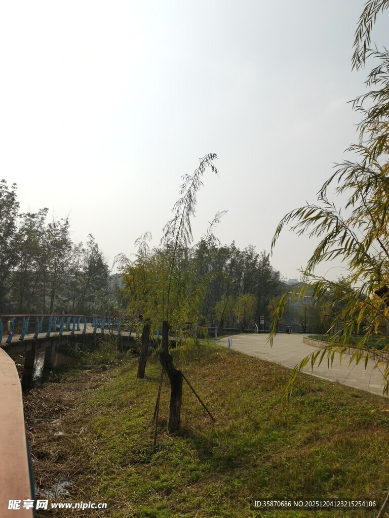 河畔风景蜿蜒小路伴绿树