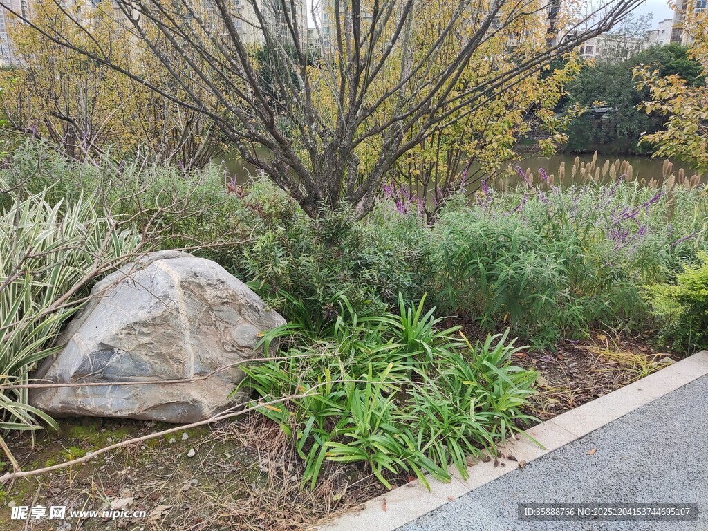 路边自然景观中的大石绿植