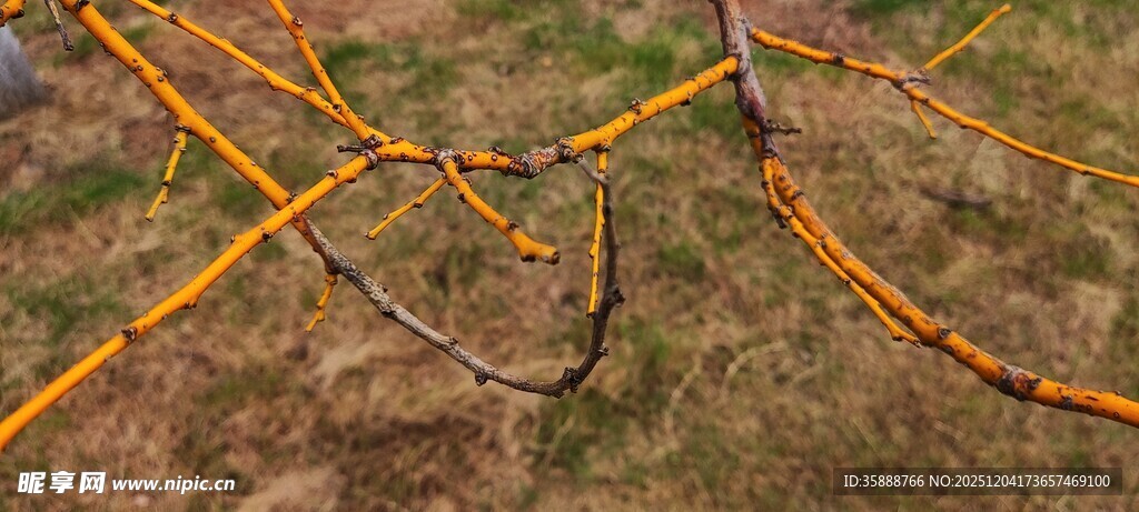 地面上的黄色警示带