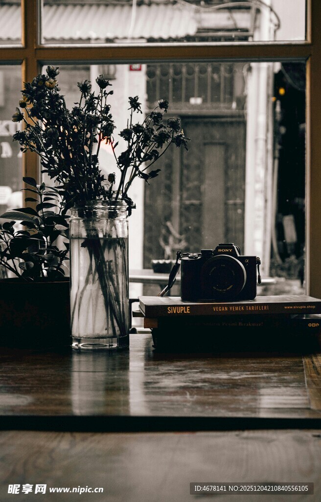 室内静谧角落与绿植陈设