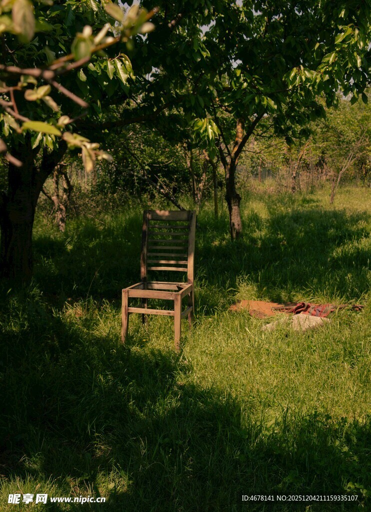 林间草地的休闲木椅
