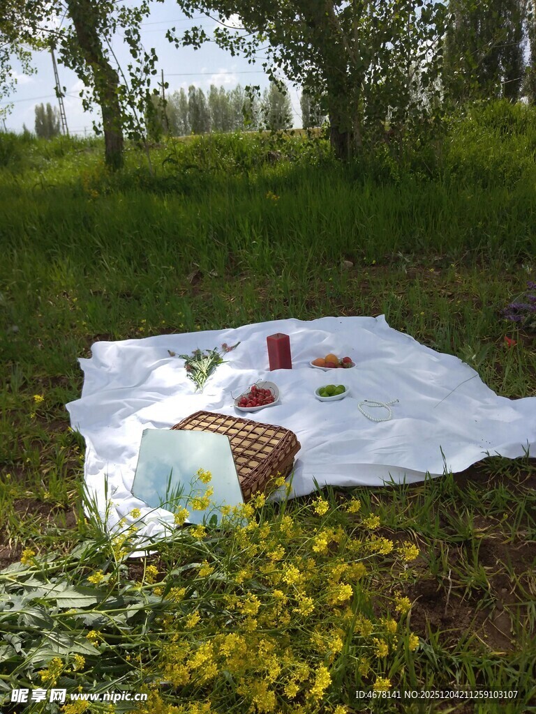 户外草地野餐场景