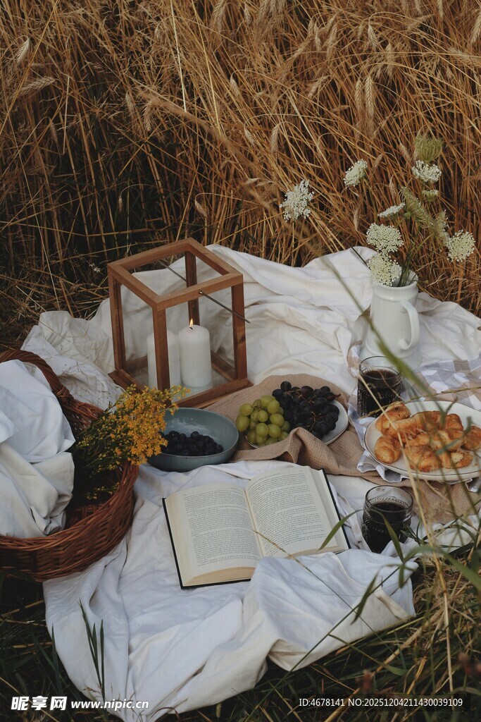 秋日草地野餐惬意场景