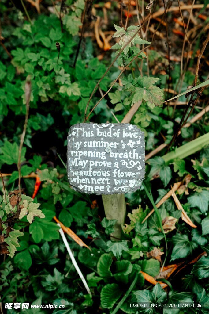 草地上的白色标牌