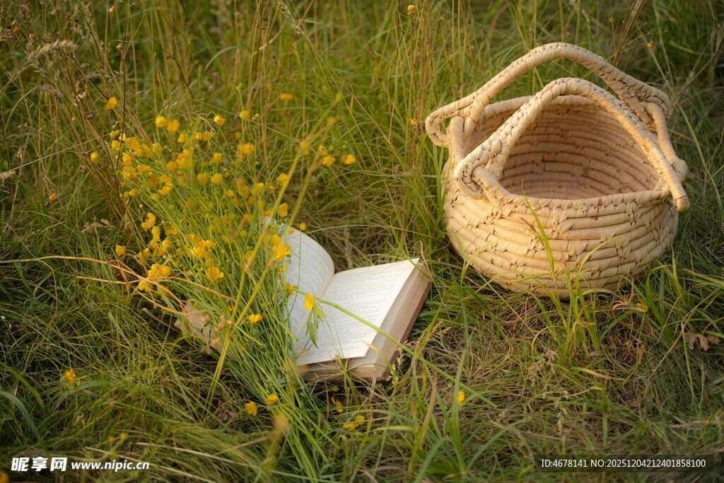 草地上的书与编织篮
