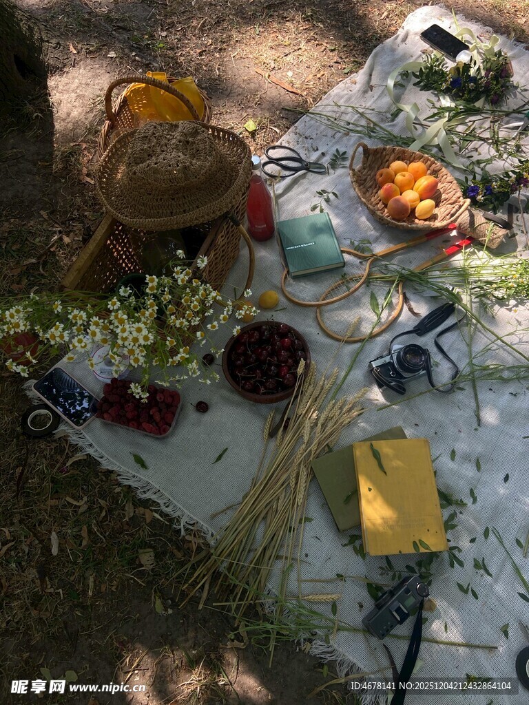 户外野餐场景布置
