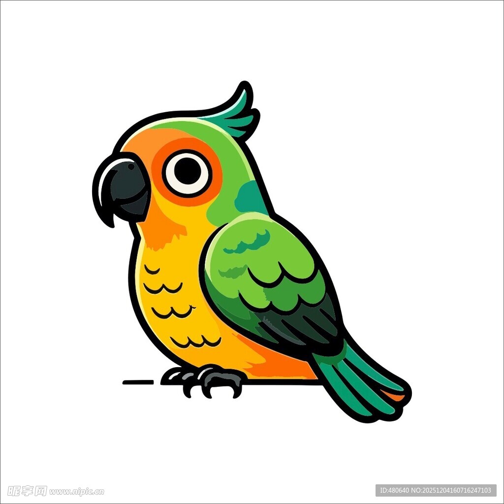 彩色鹦鹉插画