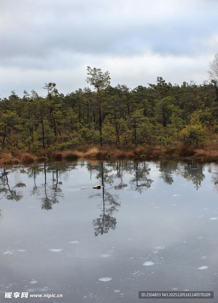宁静湖畔森林倒影美景